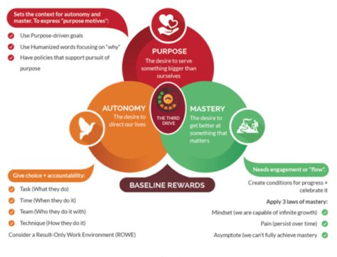 How to introduce accountable freedom to drive employee motivation Daniel Pink, Employee Motivation, Increase Motivation, Theory Of Change, Organizational Development, Motivation Theory, Behavioral Economics, Marketing Plan Template, Success Books