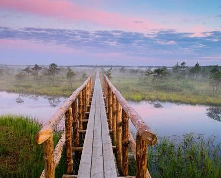 Endla Nature Reserve and centre at Tooma, Estonia