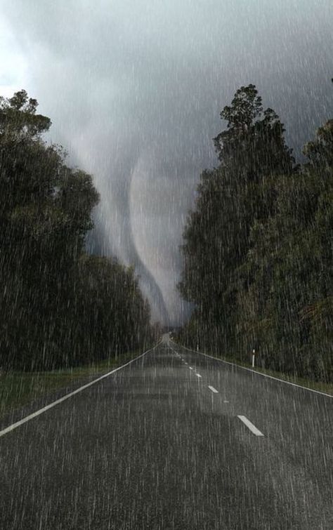 Rain and a Twister...an umbrella won't help much in this situation...find shelter! Weather Storm, Storm Chasing, Wild Weather, Rain Storm, Stormy Weather, Natural Phenomena, Extreme Weather, Science And Nature, Tornado