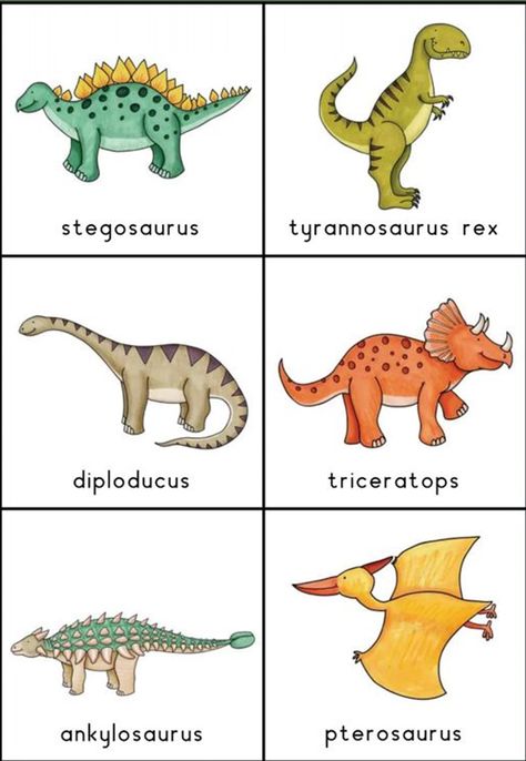 Dinosaur Facts For Kids, Dinosaur Crafts Kids, Types Of Dinosaurs, Dinosaur Theme Preschool, Dinosaur Activities Preschool, Dinosaur Projects, Dino Kids, Dinosaur Alphabet, Dinosaur Printables