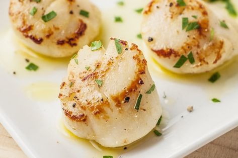 Easy broiled scallops are lightly flavored with lemon juice and olive oil and cooked to perfection in your broiler. #seafood #easydinner #healthyfood How To Cook Scallops, Low Fat Dinner, Pan Seared Scallops, Scallop Recipes, Scallops Seared, Entree Recipes, Granny Smith, Butter Recipe, Fish Dishes