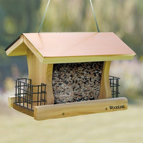 WoodLink Coppertop Cedar Hopper Bird Feeder   $53.89  Lowe's Suet Bird Feeder, Wood Bird Feeder, Black Oil Sunflower Seeds, Squirrel Feeder, Glass Hummingbird Feeders, Bird House Feeder, Copper Roof, Wildlife Decor, Garden Mini