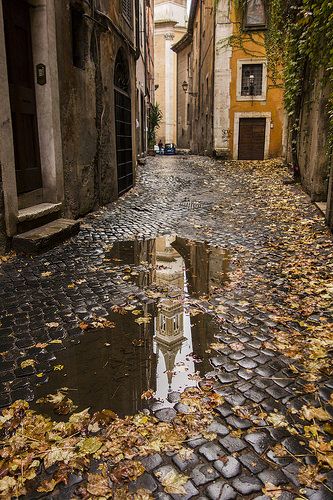 Autumn In Rome ♠ | Flickr - Photo Sharing! Leaves On The Ground, Rome Photo, Autumn Rain, Reflection Photography, Fallen Leaves, 수채화 그림, Best Seasons, Autumn Cozy, Photo Images