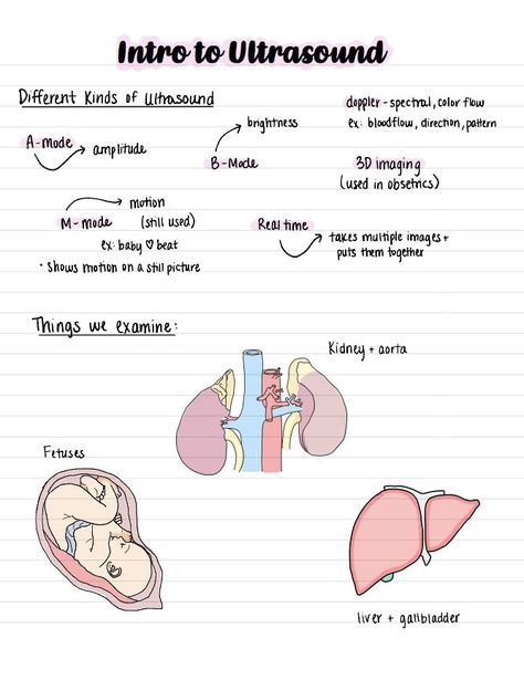 This is a basic overview to ultrasound including scanning planes, physics, machine definitions, and common ultrasound terminology! Sonography Student Essentials, Ultrasound Terminology, Ultrasound Physics Study, Ultrasound Notes Study, Sonography Student Graduation Pictures, Sonography Notes Ultrasound, Ultrasound Technician Aesthetic Notes, Ultrasound Technician Notes, Medical Sonography Aesthetic