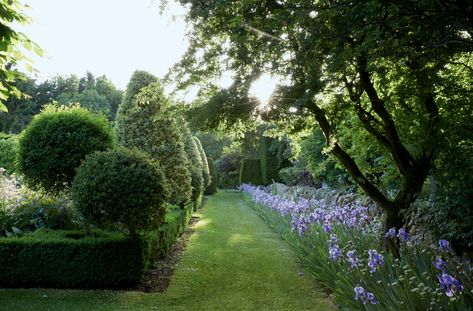 Cotswold Garden, Garden From Scratch, Box Hedging, Flagstone Path, Large Greenhouse, Wild Flower Meadow, Specimen Trees, English Cottage Garden, English Country Gardens