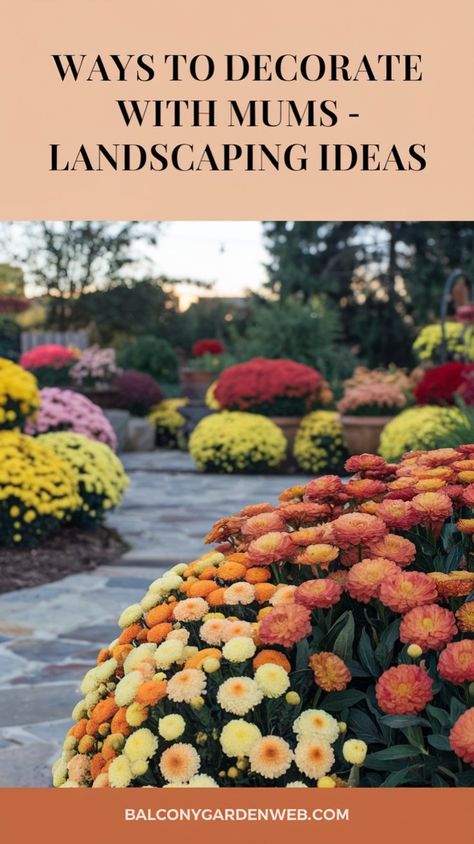 Brighten up your home and garden with these 16 creative ways to decorate with mums! Perfect for fall landscaping, patios, and front porch displays. Fall Landscaping Ideas, Fall Landscaping, Fall Mums, Fall Porch, Diy Party Decorations, Chrysanthemum, Landscaping Ideas, Front Porch, Decorating Your Home