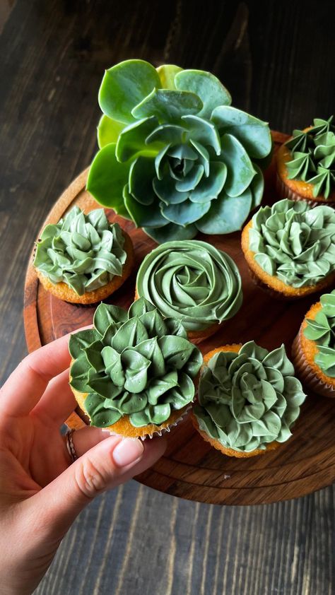 clubmiette.cakes on Instagram: Succulent cupcakes 🧁💚 Flavor: -vanilla/berry -caramel #succulentcupcakes #succulents #cupcakes #greeencupcakes #cake #vanillaberrycupcake… Succulents Cupcakes, Leaf Cupcakes, Berry Cupcakes, Succulent Cupcakes, Decorating Cupcakes, Cupcake Flavors, Woodland Friends, Wedding Wishes, Cupcakes Decoration