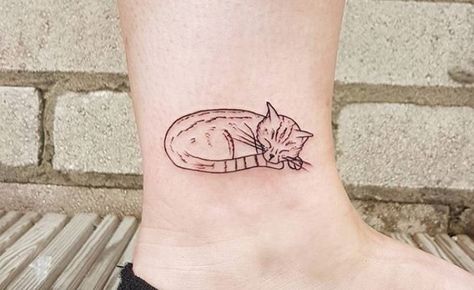 https://www.thepaws.net/cat-outline-tattoos/3/ Cat Line Tattoo, Outline Tattoo Ideas, Curled Up Cat, Geometric Cat Tattoo, Cat Eye Tattoos, Cat Outline Tattoo, Lucky Cat Tattoo, Cat Portrait Tattoos, Cat Tattoo Ideas