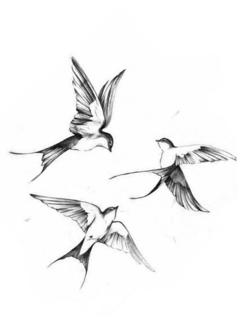 Birds Back Tattoo, Tattoo Golondrina, Bird Tattoo Simple, Bird Silhouette Tattoos, France Tattoo, Sparrow Tattoo Design, Swallow Tattoo Design, Silhouette Tattoo, Sparrow Tattoo