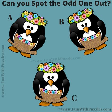 Odd One Out, Odd One Out Worksheet, Hard Puzzles, Dont Be Discouraged, Picture Puzzle, Flappy Bird, The Odd Ones Out, Puzzles For Adults, Puzzle For Adults