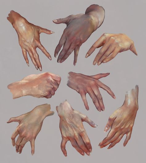 Hand Studies, Christophe Young on ArtStation at https://www.artstation.com/artwork/Z5wb51 Hand Drawing Reference, Hand Reference, Body Reference Drawing, Beautiful Illustration, Poses References, Digital Painting Tutorials, Anatomy Reference, Anatomy Art, Hand Art