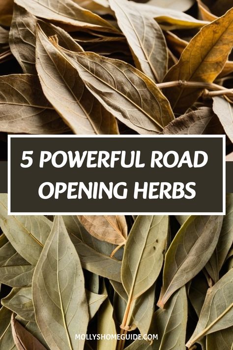 Explore the world of road opening herbs with our organic herb blend, including powerful ingredients like Lemon peel and High John. Discover the magical properties of mint and Pyrite in our Road opener powder, ideal for a Road opener spell. Learn about Prosperity herbs and Protection herbs as part of your spiritual practice. Unlock the potential of Hoodoo powders and Hoodoo oils in your rituals with our Road opening key collection. Road Opener Candle Herbs, Road Opening Herbs, Road Opener Oil Recipe Hoodoo, Blockbuster Spell Herbs, Road Opener Herbs, Hoodoo Powders, Prosperity Herbs, Spell Herbs, Protection Herbs