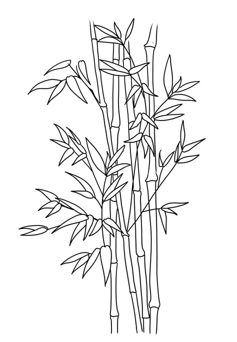 Tree Branches With Leaves Drawing, Bamboo Line Art, Loves Tattoo, Bamboo Drawing, Japanese Culture Art, Easy Dragon Drawings, Abstract Tattoo Ideas, Flower Reference, Japanese Plants