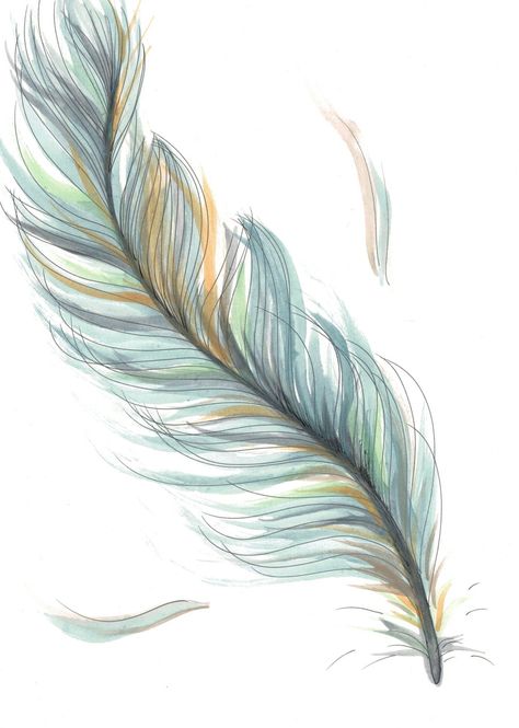 Feather Drawing, Feather Tattoo Design, Watercolor Feather, Soyut Sanat Tabloları, Feather Tattoo, Feather Painting, Feather Art, Feather Tattoos, Blue Feather