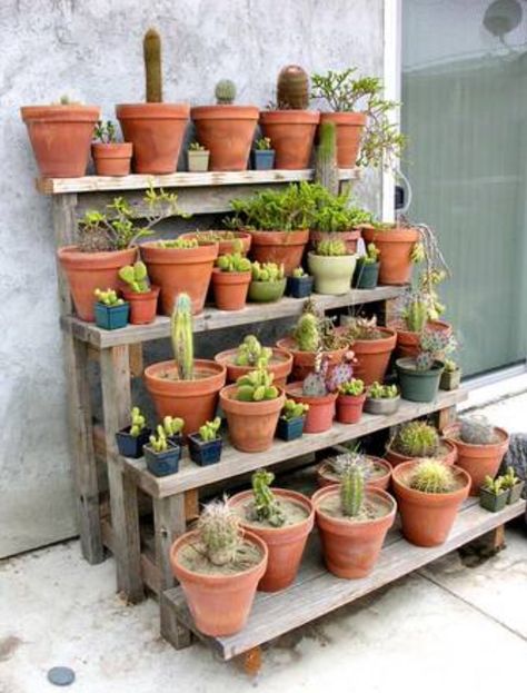 Jardín Pot Plant Stands Outdoor, Garden Plant Shelves, Outdoor Shelves, Handy Manny, Succulent Landscape Design, نباتات منزلية, Succulent Landscaping, Garden Shelves, Plant Stands Outdoor