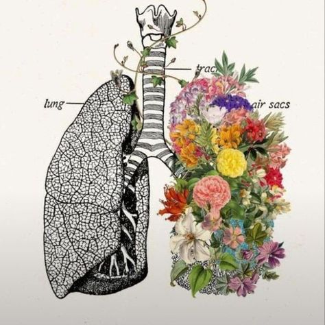 ♡♡ Relaxing Wall Art, Lungs Art, Relax Wall Art, Flower Anatomy, Pharmacy Art, Anatomical Art, Human Lungs, Medical Posters, Flowers Growing