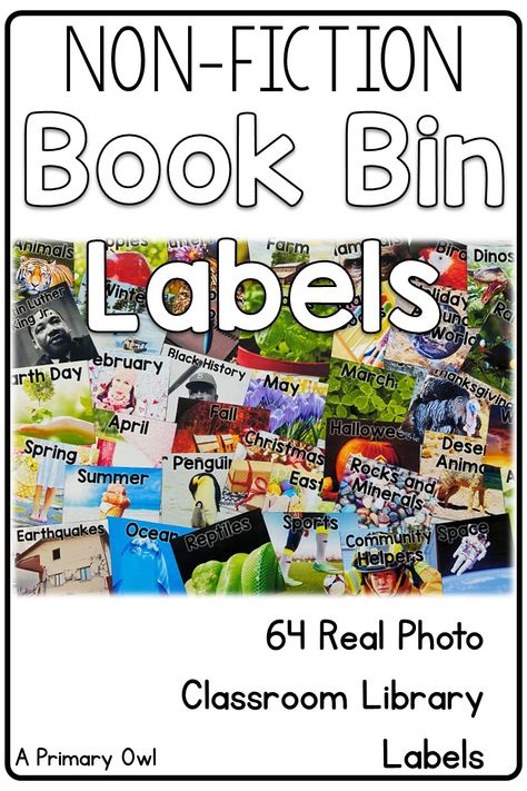 Organizing your Classroom Library has never been easier with these Non-Fiction Book Bin Labels. Full color real photos make it easy for student to return books to the correct basket! The size works well for book bins or baskets, I also included directions on how to print the labels smaller if needed. Book Box Labels, Classroom Library Labels, Kindergarten Classroom Setup, Book Basket, Book Bin, Book Bin Labels, Library Labels, Book Bins, Bin Labels