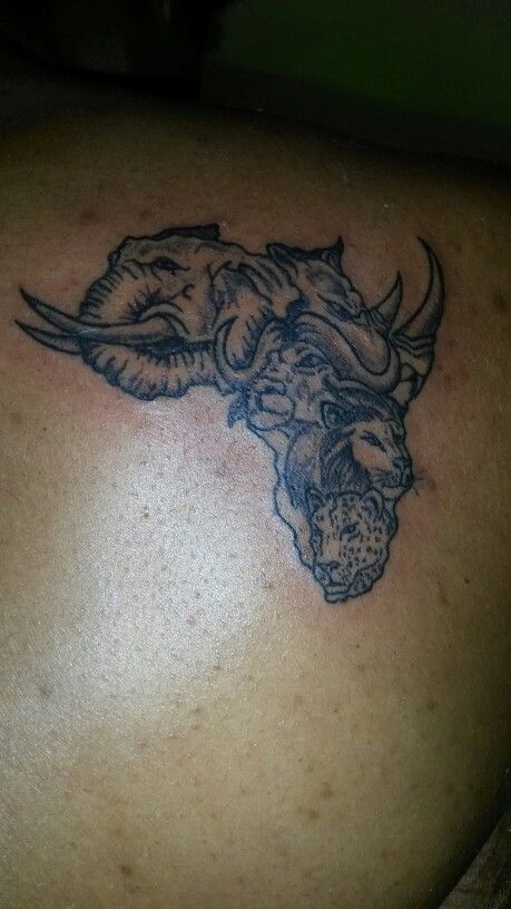 The big five in Africa Big Five Tattoo, Big 5 Tattoo, Five Tattoo, 5 Tattoo, The Big Five, Big 5, Tattoo Ideas, Tattoos, Quick Saves