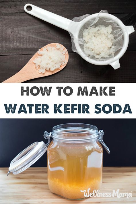 Water Kefir is a naturally fizzy fermented drink that is full of probiotics and enzymes for a delicious and healthy drink! Water Kefir Recipes, Fermented Water, Fermented Soda, Kefir Water, Iced Herbal Tea, Soda Alternatives, Water Kefir Grains, Healthy Soda, How To Make Water