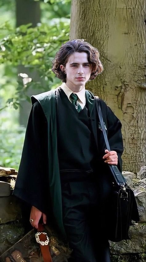 Harry Potter Male Oc, Rodolphus Lestrange Fancast, Peeves Harry Potter, Regulus Acturus Black, Harry Potter Painting, Slytherin Boys, Black Sisters, Slytherin Harry Potter, Harry Potter Comics