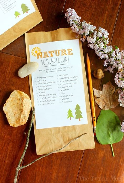 Here’s a free printable nature scavenger hunt list you can use for a camping birthday party or when you go hiking with kids too. Fun outdoor activity for kids. Our free outdoor nature scavenger hunt for kids and adults is lots of fun. Use it just because or if you’re having a birthday party too....{Read more}  The post Nature Scavenger Hunt List appeared first on The Typical Mom. Camping Birthday Activities, Hiking Party Ideas, Hiking Birthday Party Ideas, Nature Birthday Party, Nature Scavenger Hunt Printable, Hiking Birthday, Hiking Party, Camping Scavenger Hunts, Camp Vbs