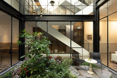 Ten homes centred around bright interior courtyards Tree Courtyard, Neve Tzedek, Courtyard Plants, Patio House, Carlton House, Piscina Interior, Basement Floor Plans, Modernist House, Glazed Walls