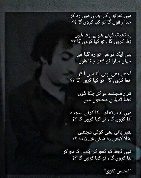 Mohsin Naqvi Ghazal Poem, Mohsin Naqvi Poetry, Heartless Quotes, Mohsin Naqvi, Dear Diary Quotes, Poetry Ideas, Punjabi Poetry, Good Relationship Quotes, Poetry Inspiration