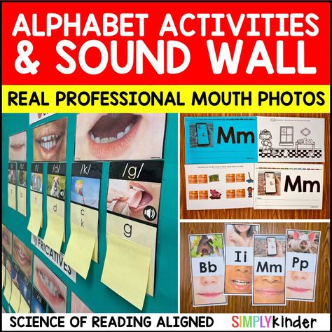 Sound Wall Free Printable, Science Of Reading Kindergarten, Mouth Pictures, Posters Science, Alphabet Wall Cards, Reading Kindergarten, J Sound, Kindergarten Classrooms, Alphabet Board