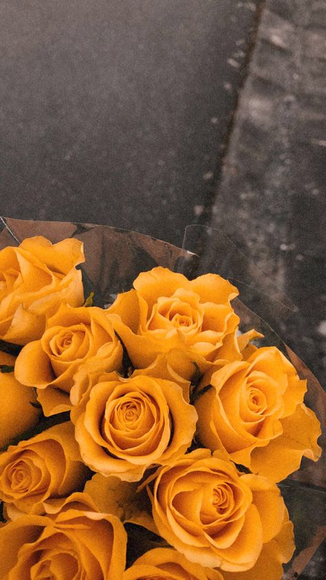 Yellow Rose Wallpaper Iphone, Bouquet Of Yellow Roses, Yellow Roses Aesthetic Wallpaper, Yellow Roses Aesthetic, Yellow Roses Wallpaper, Pink Tulips Wallpaper Aesthetic, Yellow Rose Bouquet, Wallpaper Iphone Roses, Photo Bouquet