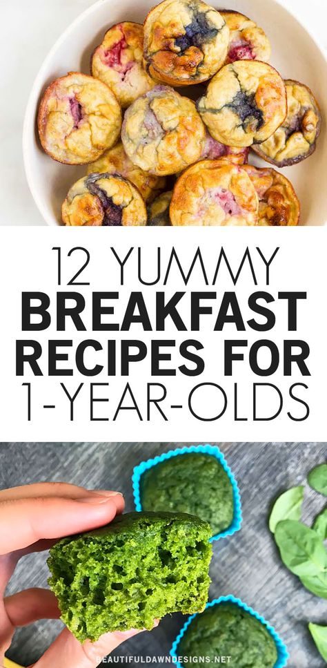 I love these breakfast recipe ideas for 1 year olds. These are the perfect breakfast meals to make for your toddler. SWEET SPINACH MUFFINS and FRUITY EGG MUFFINS