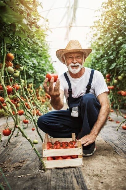 Countryside Fashion, Tomato Farming, Human Figure Sketches, Farm Clothes, Environmental Portraits, Manga Drawing Tutorials, Garden Drawing, Farm Photo, Organic Living