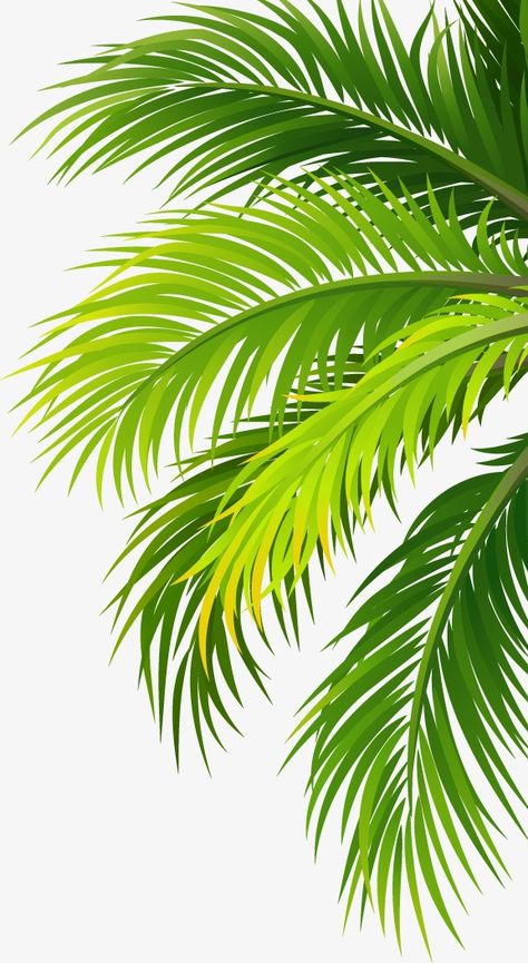 coco,coconut,trees,leaves,green,Leaves clipart,leaves clipart Coconut Tree Design, Palm Tree Sticker, Coconut Leaves, Palm Trees Painting, Palm Tree Art, Trees Painting, Palm Tree Leaves, Leaf Clipart, Tree Stickers