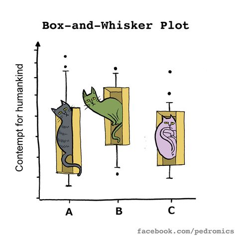 Box and Whisker Plot #Cat Math Cartoons, Psych Memes, Statistics Humor, Statistics Math, Box Plots, Lab Humor, Psychology Memes, Science Rules, Geeky Humor