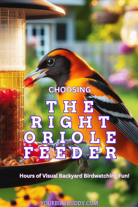 Attract stunning orioles to your backyard with the perfect oriole feeder! This guide dives into everything you need to know, from oriole feeding preferences (think nectar, jelly, & fruit!) to feeder features that make them feel right at home (perches are key!). Learn how to keep unwanted guests like squirrels at bay and watch your vibrant oriole visitors thrive. Diy Oriole Jelly Feeder, Oriole Bird Feeders, Jelly Fruit, Oriole Bird, Suet Feeder, How To Attract Birds, Humming Bird Feeders, Outdoor Ideas, Bird Species