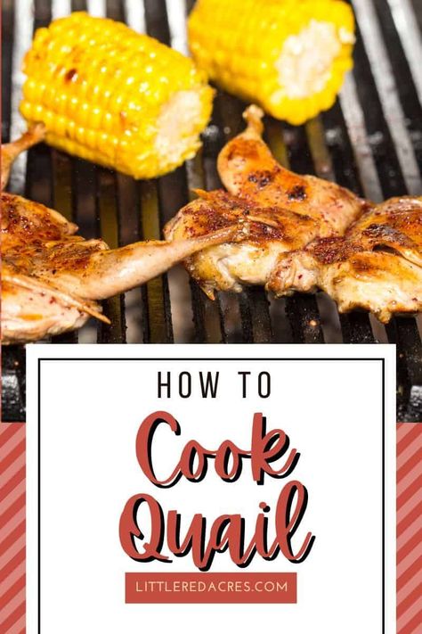 Quail Legs Recipe, Roast Quail Recipes, Grilled Quail Recipes, Quail Meat, Cornish Game Hen Recipes, Roasted Quail, Coturnix Quail, Quail Recipes, Meat Cooking