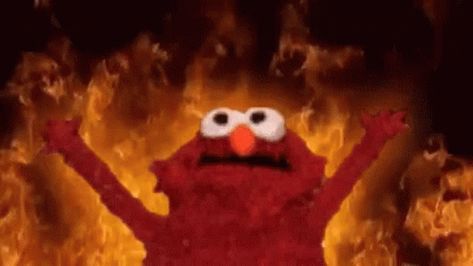 Fire GIF - Fire - Discover & Share GIFs Funny Kermit, Memes Funny, Sesame Street, Memes, Funny