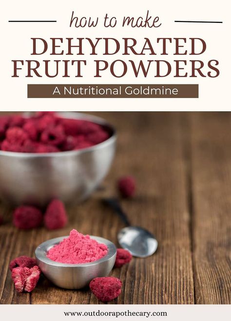 How to Make Your own Healthy  Fruit Powders Outdoor Apothecary, Fruit Powders, Aronia Berries, Blueberry Powder, Fresh Beets, Natural Food Coloring, Dehydrated Fruit, Wild Berries, Healthy Fruit