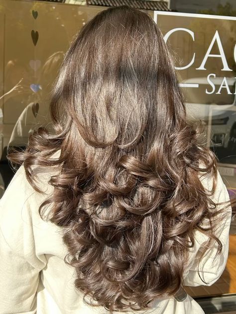 #layers #haircut #layering #smallbusinessowner Layers Haircut, Layered Cut, Blow Out, Long Layers, Layered Haircuts, Layering, Hair Cuts