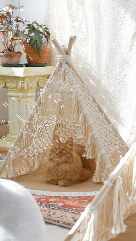 Emma Yang | Sunbeams and dream weaves 🌞✨! Our fur babies are basking in the boho bliss of their luxury macramé cat tent. It’s purr-fect for those lazy,… | Instagram Boho Cat Accessories, Macrame For Cats, Boho Cat Room, Macrame Cat Bed, Cat Park, Macrame Furniture, Cat Space, Needle Painting, Park Ideas