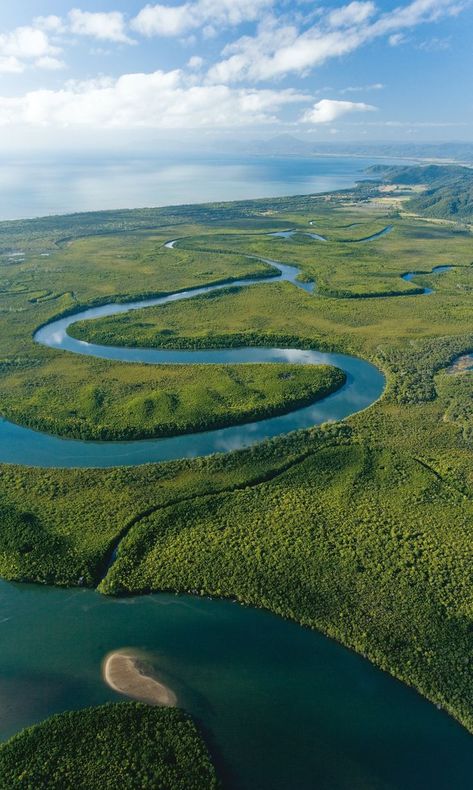 Daintree National Park, Tropical North Queensland. #worldparksday #rainforest Daintree Rainforest, Australia Vacation, Port Douglas, North Queensland, The Great Barrier Reef, Travel Australia, Queensland Australia, Cairns, Great Barrier Reef