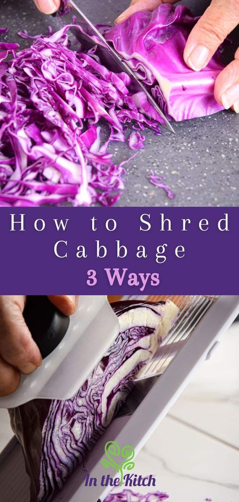 How to Shred Cabbage 3 Ways - In the Kitch Shredding Cabbage How To, How To Shred Cabbage, Quick Coleslaw, Types Of Cabbage, Raw Cabbage, Homemade Sauerkraut, Cabbage Head, Box Grater, Shredded Brussel Sprouts