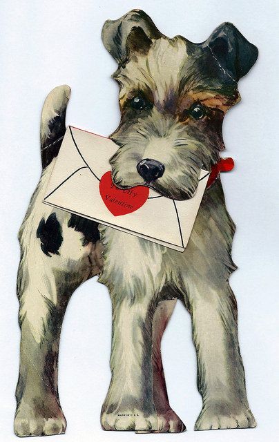 Valentine Day Card, Wire Dog, Printable Valentines Day Cards, Valentine Images, Printable Valentines, Valentines Day Cards, Fox Terriers, Wire Fox Terrier, Vintage Valentine Cards