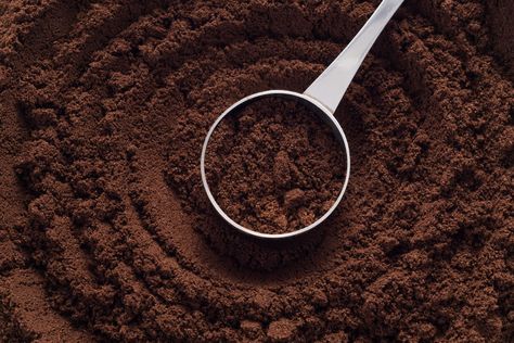 Why you should put coffee grounds on your plants Coffee Grounds For Plants, Fire Log, Dark Wood Furniture, Uses For Coffee Grounds, Food Stains, Food Scraps, Coffee Powder, Oil Moisturizer, Game Food