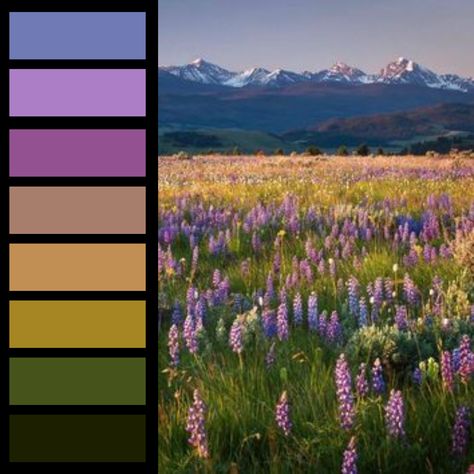 Color palette, design, landscape, Color palette design, color scheme, Flower, flower aesthetic, flower glitter, flower wallpaper, prairie, prairie aesthetics Forest Lake Color Palette, Landscape Color Schemes, Lupine Color Palette, Flower Field Color Palette, Wildflowers Color Palette, Scottish Highlands Color Palette, Colour Palette Landscape, Landscape Colour Palette, Enchanted Garden Color Palette