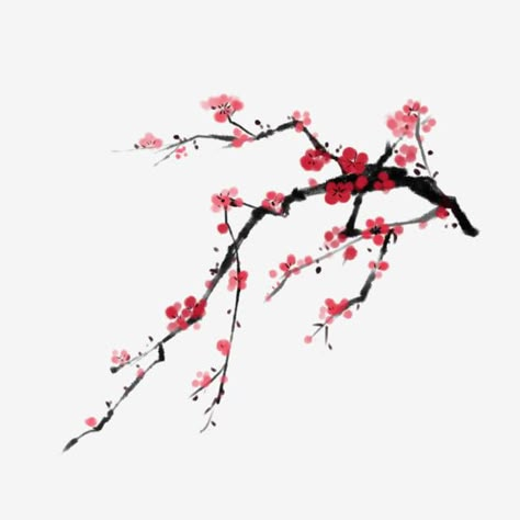 Chinese Plum Blossom Tattoo, Plum Blossom Drawing, Chinese Flowers Drawing, Chinese Flower Tattoo, Plum Blossom Tattoo, Chinese Style Tattoo, Chimonanthus Praecox, Plum Blossom Painting, Chinese Blossom