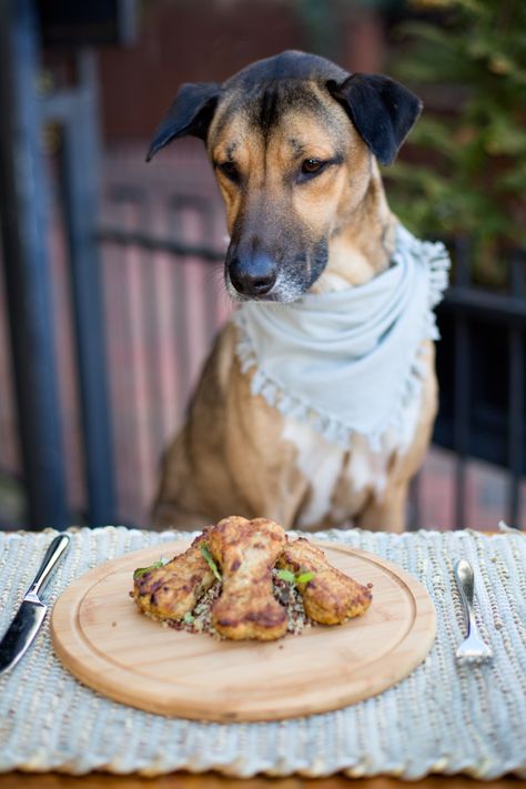 #Asheville - GOOD BOY: At Posana, diners can now order a meal for their four-legged companions. Menu items include biscuits, meatloaf and burgers. Dog Restaurant, Teriyaki Glaze, Dog Biscuits Homemade, Hot Dog Cart, Loaded Sweet Potato, Bacon On The Grill, Dog Cafe, Tv Dinner, Burger Restaurant