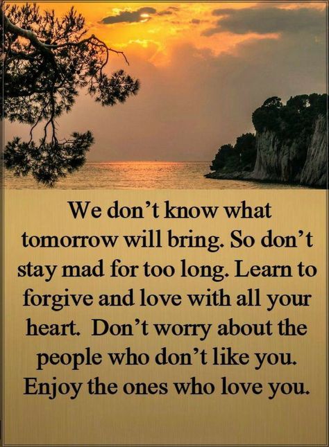 Forgive People, Learn To Forgive, Love With All Your Heart, Stay Mad, To Forgive, Advice Quotes, Lesson Quotes, Life Lesson Quotes, Quotable Quotes