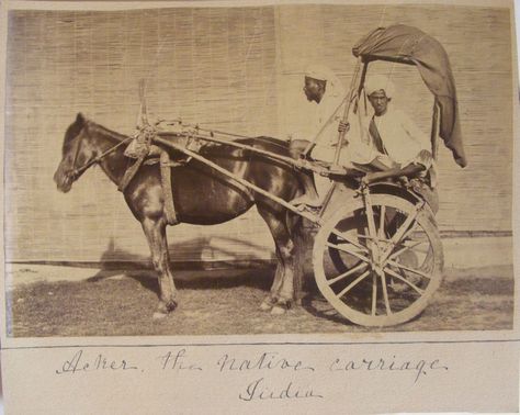 The Native Horse Carriage - India 1870's Egypt Photos, Native Horse, Pull Wagon, Horse Cart, Pull Cart, Horse Anatomy, Old Egypt, History Of India, Vintage India