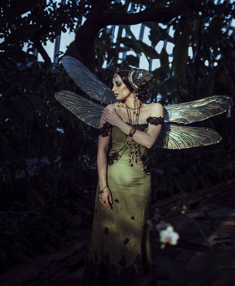 Full shot of @_meaganmarie_ in her new dragonfly... - Fancy Fairy Wings & Things Dark Fairy Costume, Forest Fairy Costume, Woodland Fairy Costume, Faerie Costume, Diy Fairy Wings, Bug Costume, Forest Festival, Diy Wings, Fairy Lanterns