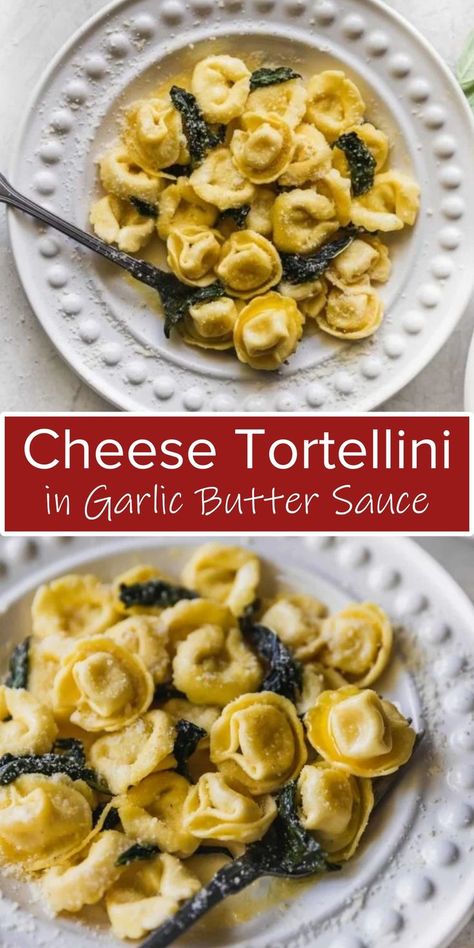 Garlic Cheese Tortellini, Tortellini Recipes Butter Sauce, Tortellini With Butter Sauce, Tortellini Recipes Garlic Butter, Sauce Recipes For Tortellini, Butter Tortellini Recipes, Garlic Tortellini Recipes, 4 Cheese Tortellini Sauce, Cheese Tortellini In Garlic Butter Sauce